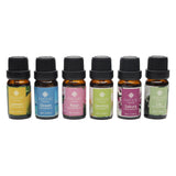 PureAire London Pure Essential Oils 6 Pack