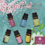 PureAire London Pure Essential Oils 6 Pack